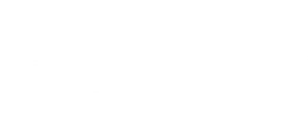 UMBC Family Connection Logo